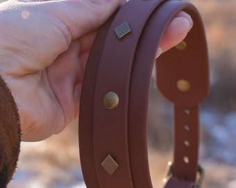 Ruhn: Bookish Dog Collar, SJM universe