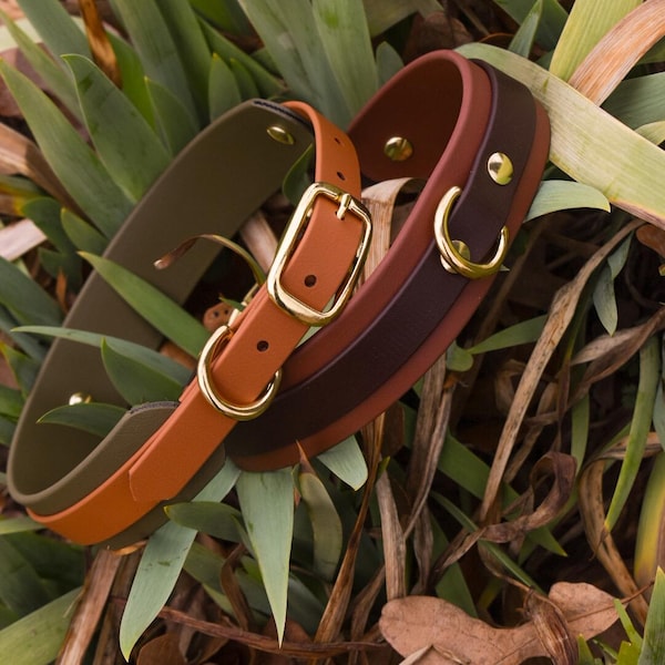1.5 inch Collar with 3/4 layer: The “Bigfoot”, Waterproof Biothane Dog collar