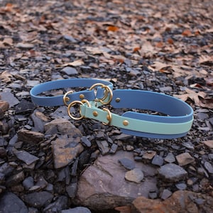 Slip collar & slip leash (3/4 inch, 1.5 inch, limited slip) Biothane, Waterprood Dog Collar