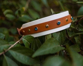 Stay Golden: Gemstone Biothane Collar