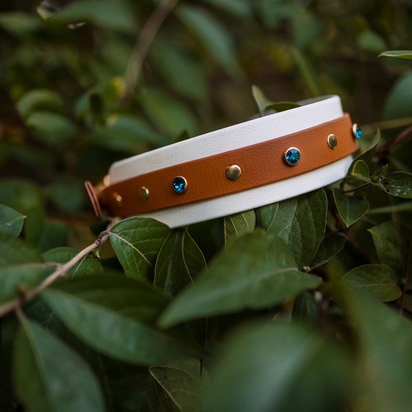 Stay Golden: Gemstone Biothane Collar