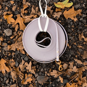 1/2 inch Long Line Waterproof dog leash & Holder