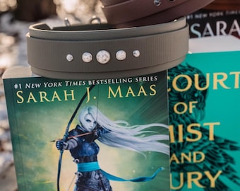 Rowan: Bookish Dog collar, SJM Throne of glass inspired