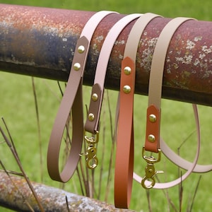 Classic Leash: “the Explorer” with Optional Traffic Handle