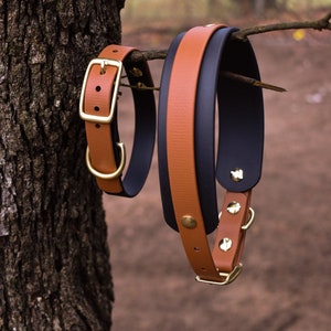 Mystery Dog Collar: Custom made, waterproof, stinkproof