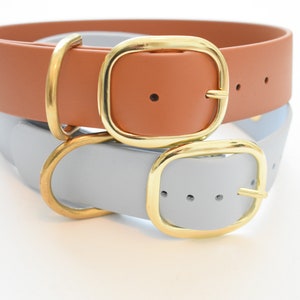 1.5 inch Biothane Collar: &quot;The Yeti&quot;, Waterproof Biothanes Dog collar