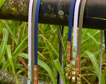 1/2 inch Dog Collar or Leash: “the Odyssey”