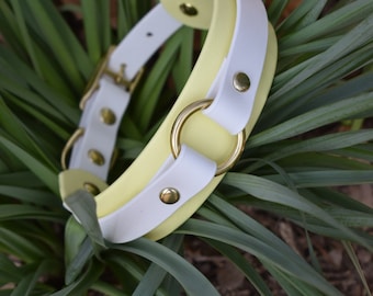 The Halo Collar: 1.5 inch with 3/4 layer and o-ring