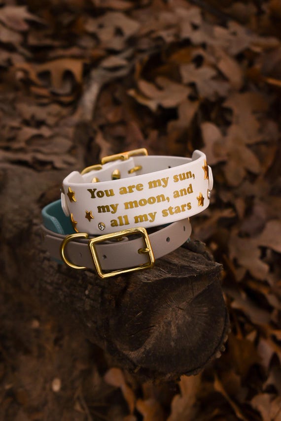 Custom Text/Quote Biothane Dog collar (3/4 inch & 1.5 inch widths)