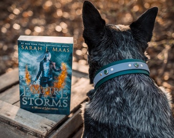 Bookish Dog: The Lysandra inspired collar, SJM Throne of Glass