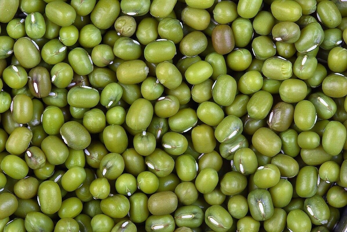 Green Mung Beans Whole Moong FREE DELIVERY 100g 10kg Etsy
