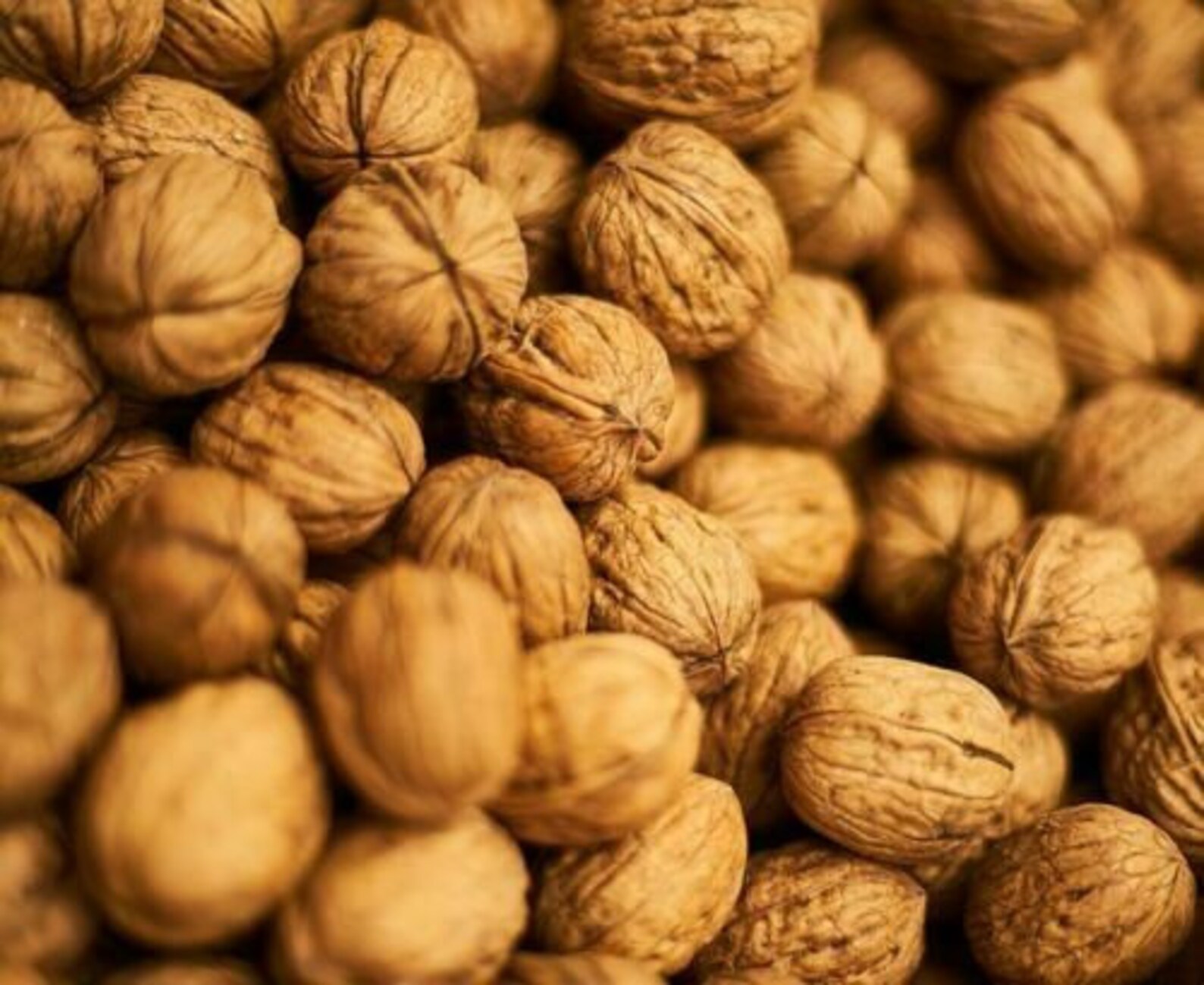 Walnuts in their Shell Whole Raw Nuts FREE UK P&P 100g 10kg Etsy