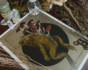 Op de afbeelding: Illustratie van een groene kikker met bruine paddenstoelen op zijn hoofd, tegen een zwarte cirkel en een goudkleurige achtergrond. Het kunstwerk is omgeven door gedroogde planten, kristallen en glazen potten met specimens.