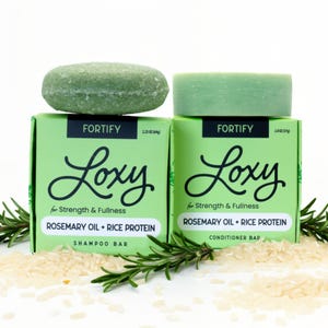 Loxy Fortify Shampoo + Conditioner Bar Set for Strength + Fullness | Fortify with Rosemary + Rice Protein