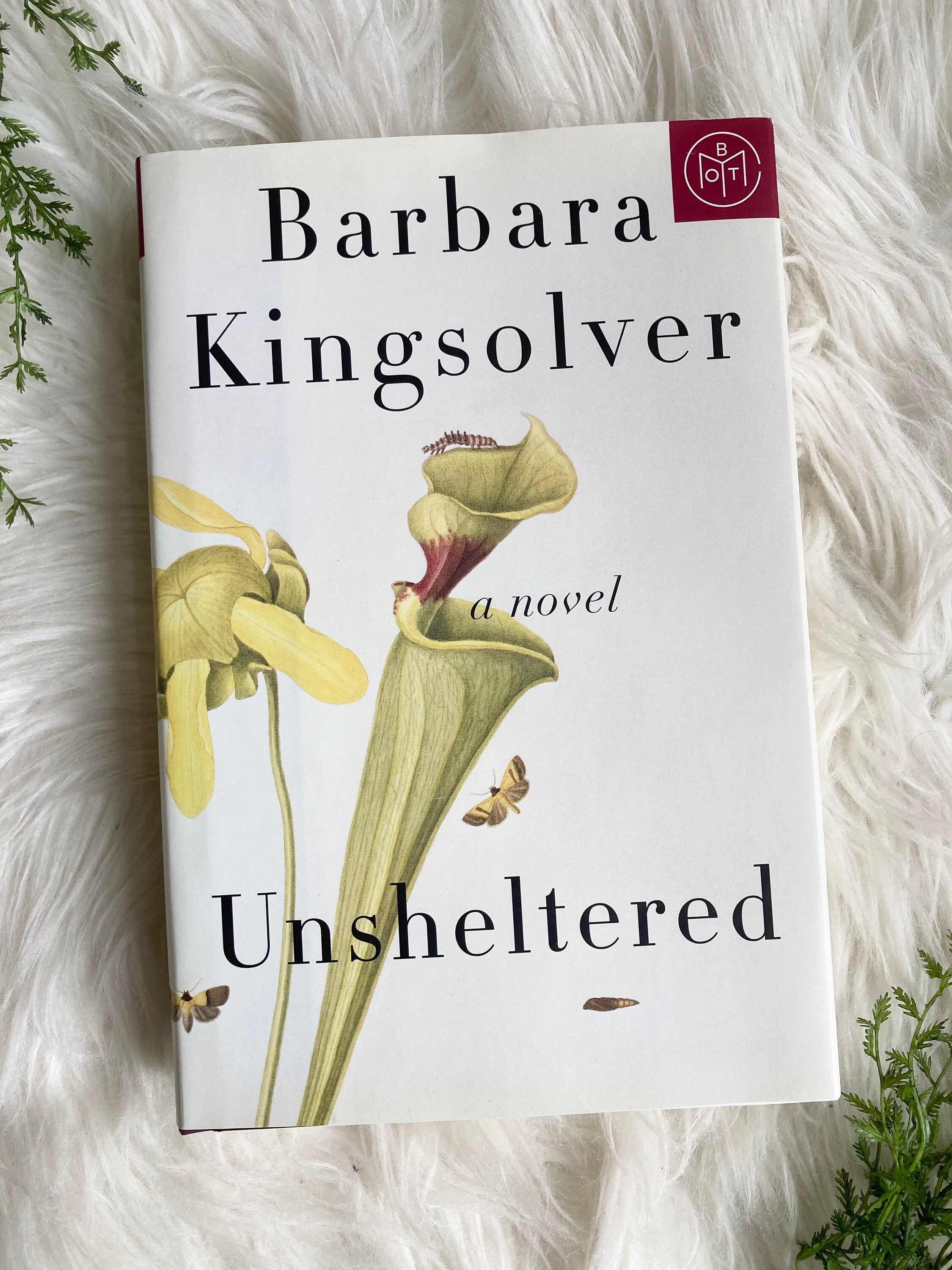 unsheltered by barbara kingsolver summary unsheltered by barbara kingsolver summary