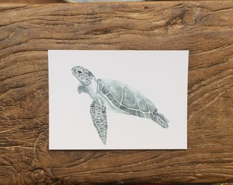 Postcard greeting card turtle illustration