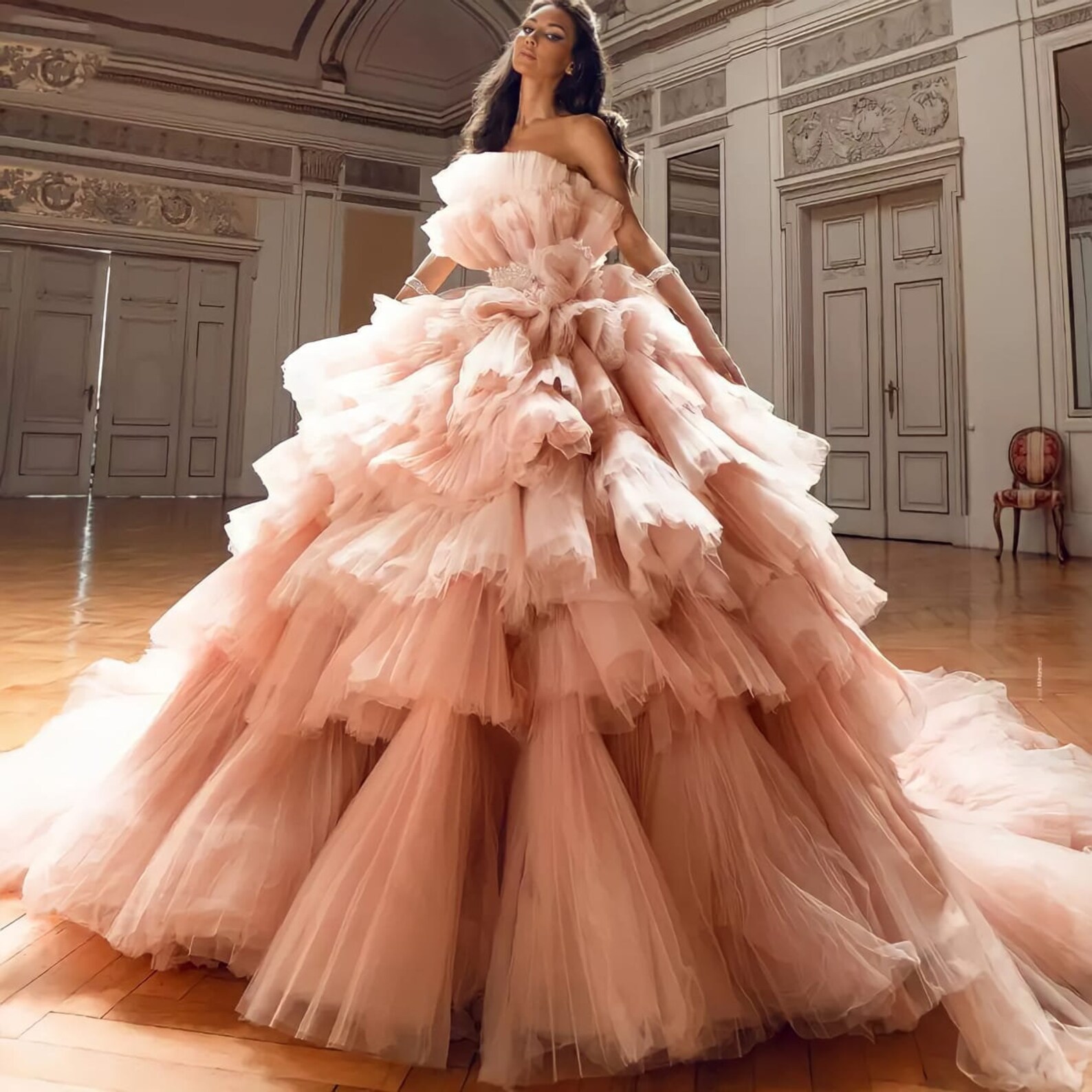 tulle frock for women