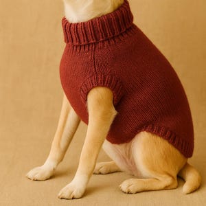 May include: A dog wearing a burgundy turtleneck sweater. The knitted sweater has a ribbed collar and armholes, providing warmth and style. The dog is light tan with white paws, sitting on a tan surface.