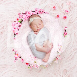 Newborn Digital Backdrop, Newborn Digital Composite, Newborn Digital Background, Floral Pink Newborn Digital Backdrop