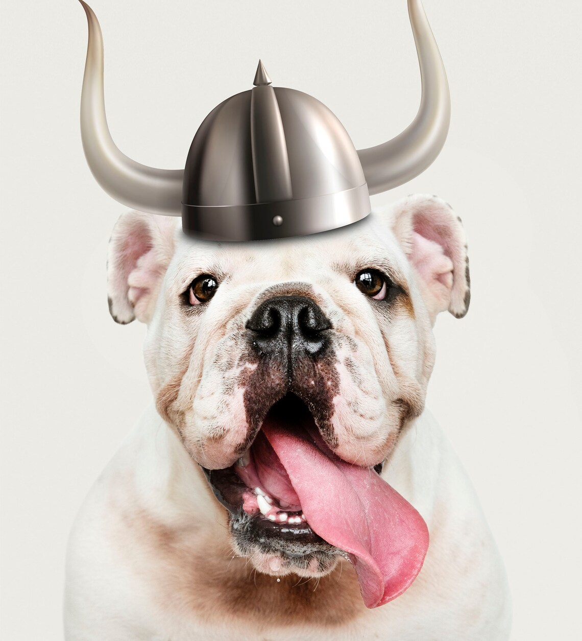 Funny Pet Portrait Custom Pet Portrait Pet Portrait Etsy