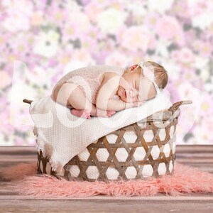 Newborn Digital Backdrop, Newborn Digital Composite, Newborn Digital Background, Floral Pink Newborn Digital Backdrop