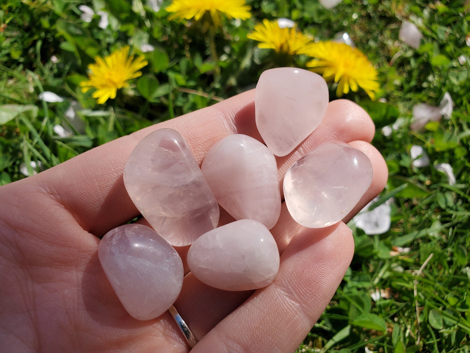 Rose Quartz Tumbled Stone 10 Pieces Etsy