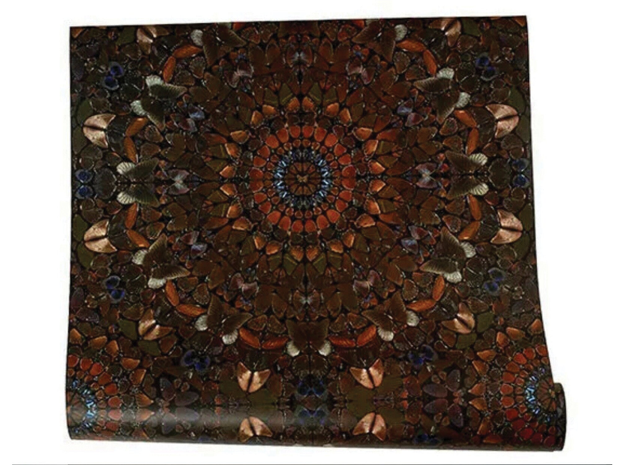 Damien hirst butterfly - Etsy 日本