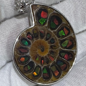 Puede incluir: Colgante con un f&oacute;sil de amonita pulido con colores iridiscentes rojo, verde y naranja. El f&oacute;sil est&aacute; encerrado en un marco de metal plateado con una fianza decorativa.