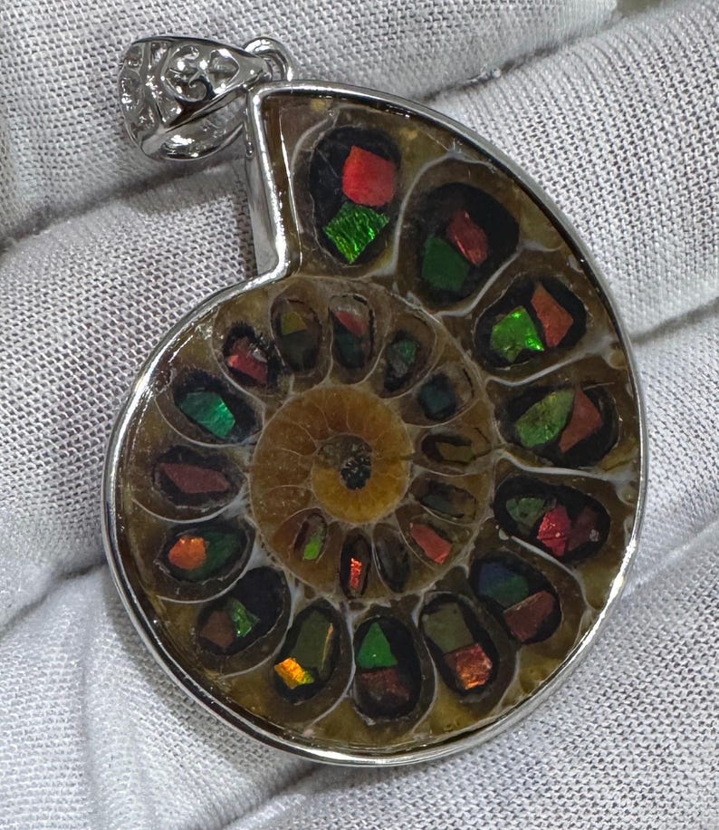 Puede incluir: Colgante con un f&oacute;sil de amonita pulido con colores iridiscentes rojo, verde y naranja. El f&oacute;sil est&aacute; encerrado en un marco de metal plateado con una fianza decorativa.
