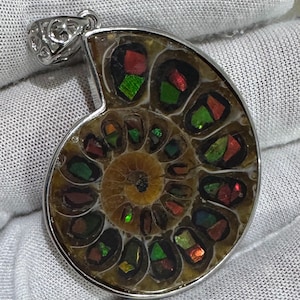 Puede incluir: Colgante con un f&oacute;sil de amonita pulido, con colores iridiscentes rojos, verdes y dorados. El f&oacute;sil est&aacute; engastado en un marco de metal plateado con una fianza decorativa. El patr&oacute;n en espiral del f&oacute;sil es claramente visible.
