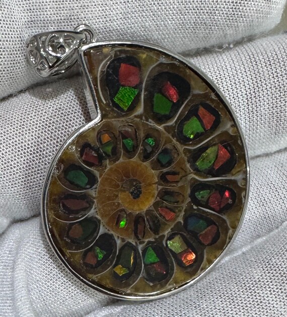 Ammolite/Ammonite Pendent