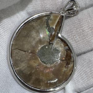 Puede incluir: Colgante de plata con un f&oacute;sil de amonita pulido. El f&oacute;sil muestra un patr&oacute;n en espiral con tonos marrones, beige e iridiscentes. El colgante tiene una argolla de plata para sujetar a una cadena.