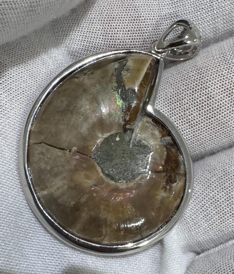 Puede incluir: Colgante de plata con un f&oacute;sil de amonita pulido. El f&oacute;sil muestra un patr&oacute;n en espiral con tonos marrones, beige e iridiscentes. El colgante tiene una argolla de plata para sujetar a una cadena.