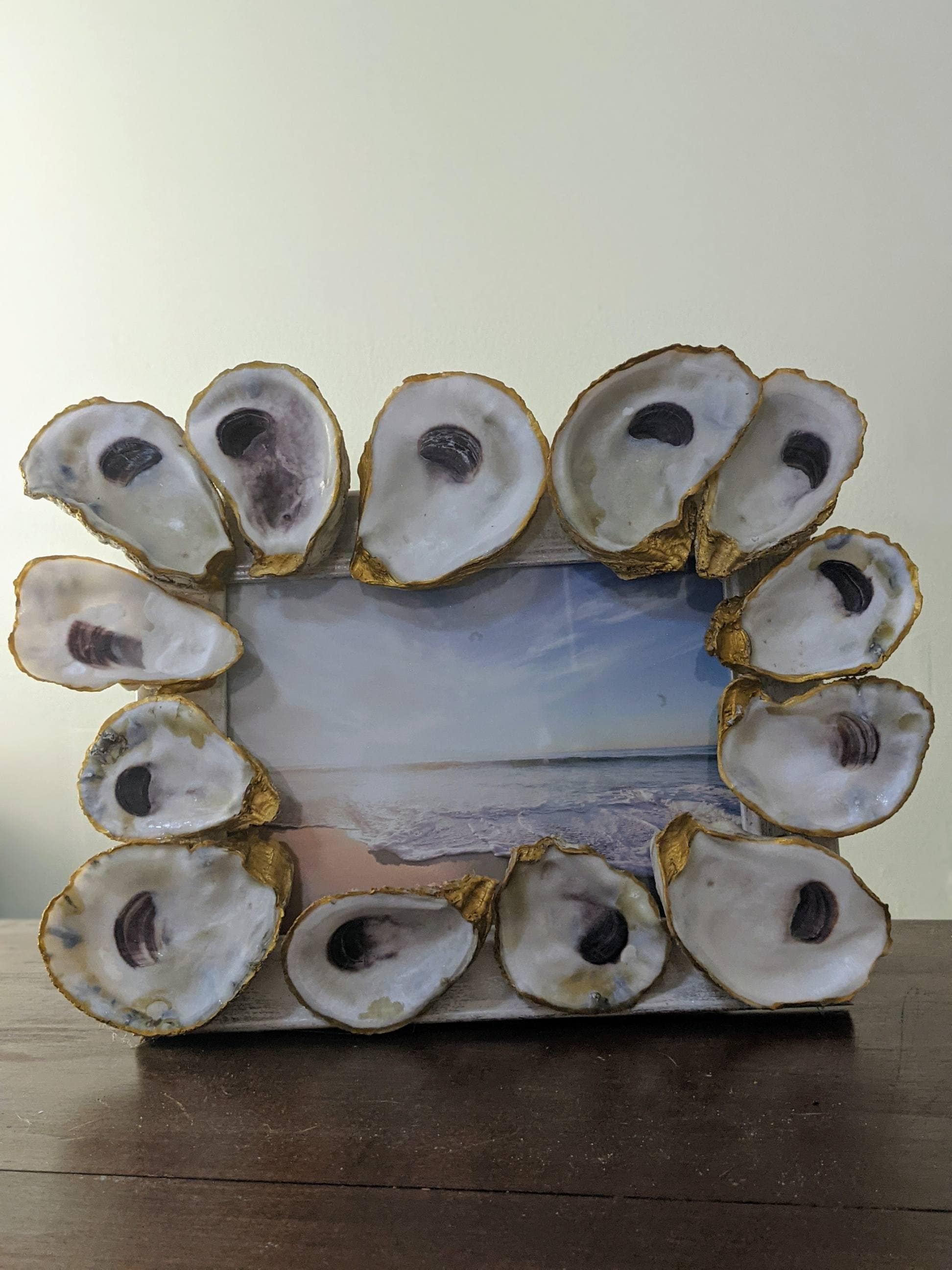 5x7 oyster frames oyster shells oyster shell picture frame Etsy