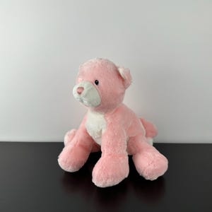 Baby Gund Rare Prissy Pink White Kitty Cat 9” #58504 Plush Stuffed Animal Vintage Collectible Sound Does Not Work
