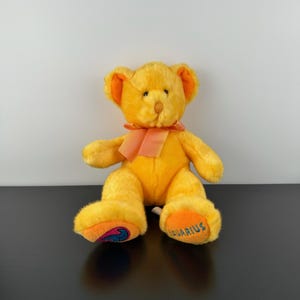 Può includere: Un orsacchiotto giallo con dettagli arancioni sulle orecchie e sui piedi. L'orso ha un nastro color pesca legato al collo. Il piede destro è ricamato con la parola "Aquarius". Il piede sinistro presenta un design colorato.