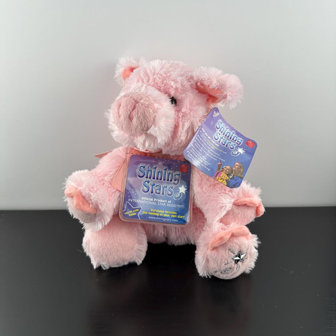 ୨୧‥∵ドイツ　ヴィンテージベア　 ピンクのベアちゃん‥‥୨୧ ୨୧‥∵ドイツ ヴィンテージベア ピンクのベアちゃん‥‥୨୧ Amazon.com