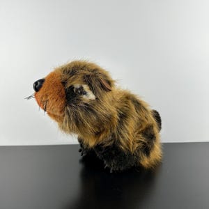 May include: A plush toy beaver with brown and black fur. The beaver has a tan face, black nose, and small black whiskers. The toy is sitting on a black surface against a white background.