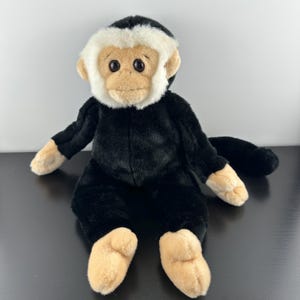 TY Beanie Buddies Buddy Mooch the Spider Monkey Black Plush 2001 Retired Stuffed Animal Vintage