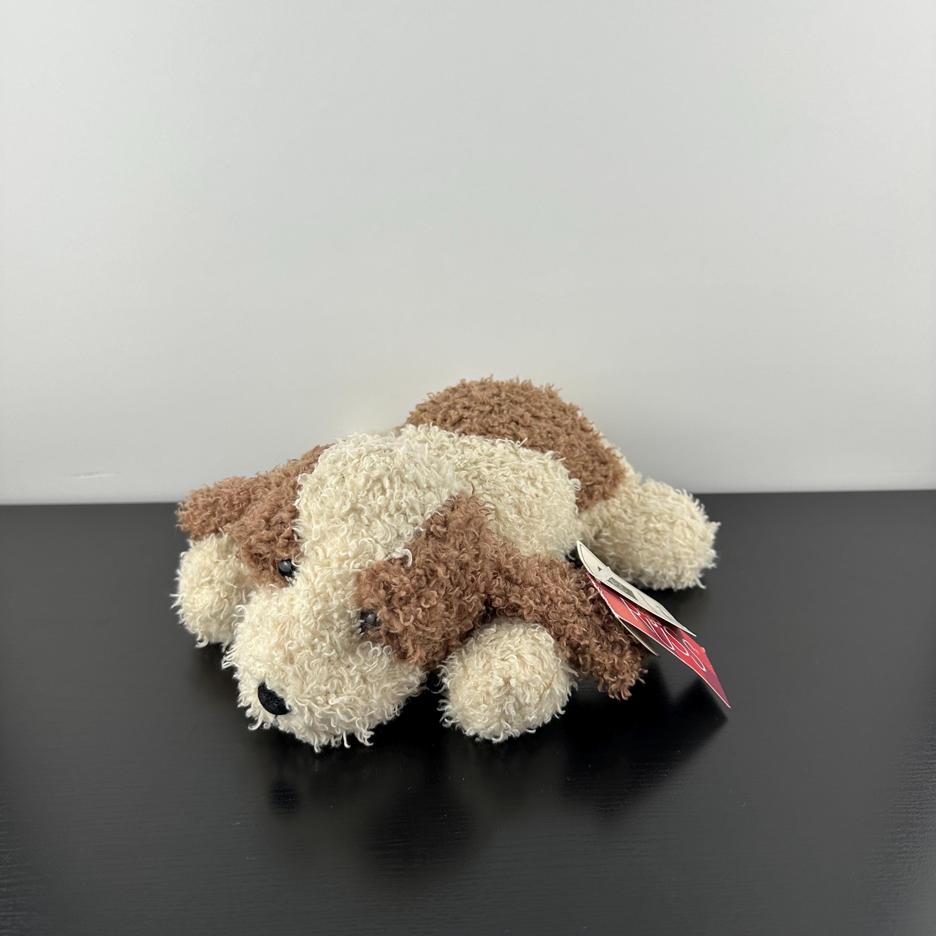 Scruffy Moggy Australia