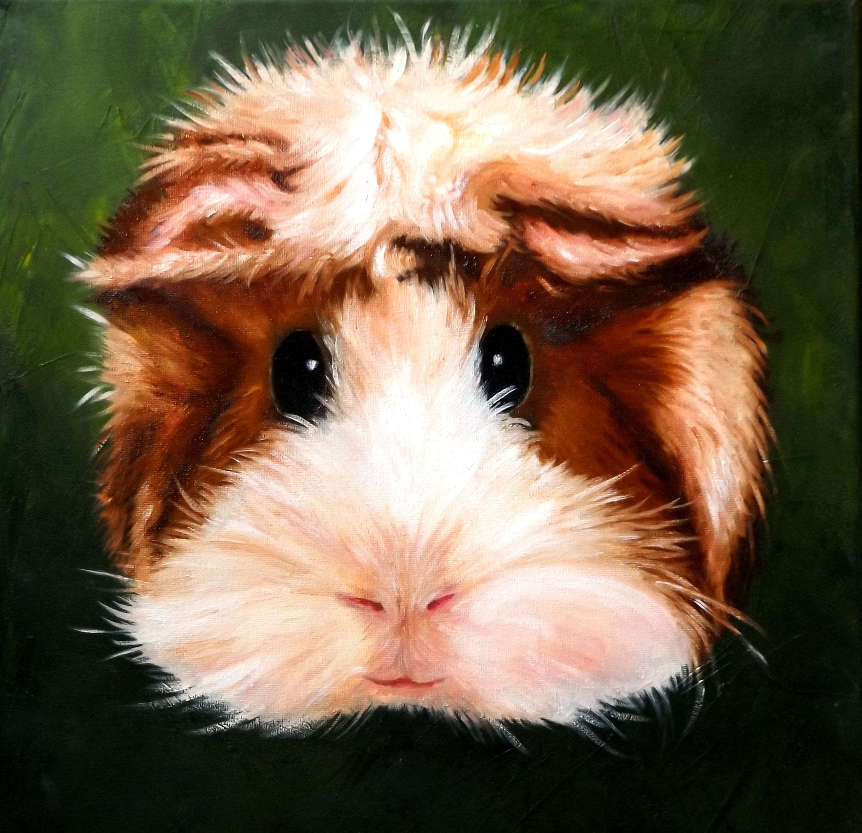Picture cute Guinea Pig Original Oil Painting on Etsy UK
