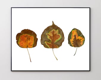 Nine Leaves in Three; Science Poster; Fine Arts Giclee; Abstract; Gift for Kids, Scientists, Nerds, Co-Workers; Microscope Art; Mothers Day