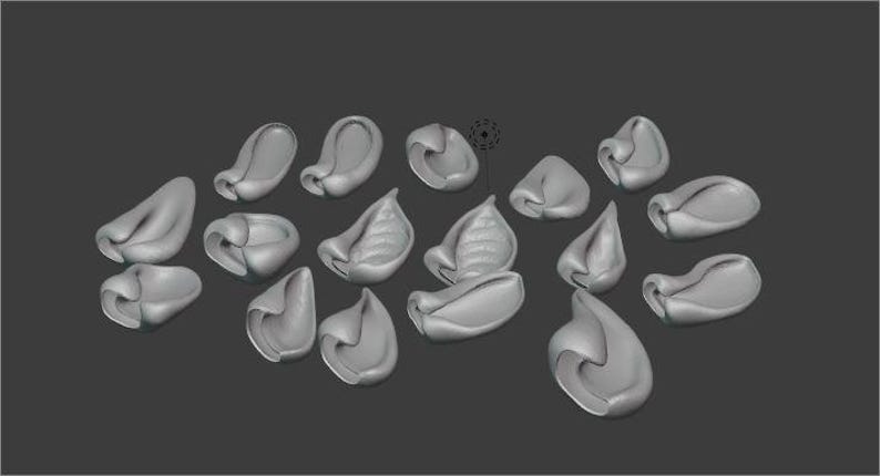 Fursuit Ears STL Pack / Set of 17 - Etsy
