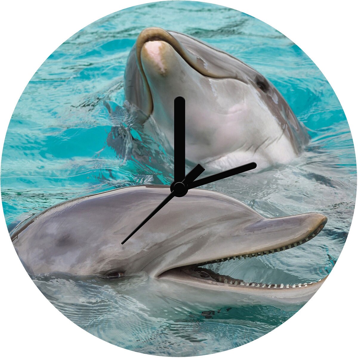 Dolphin Personalised Wall Clock No.1 Etsy