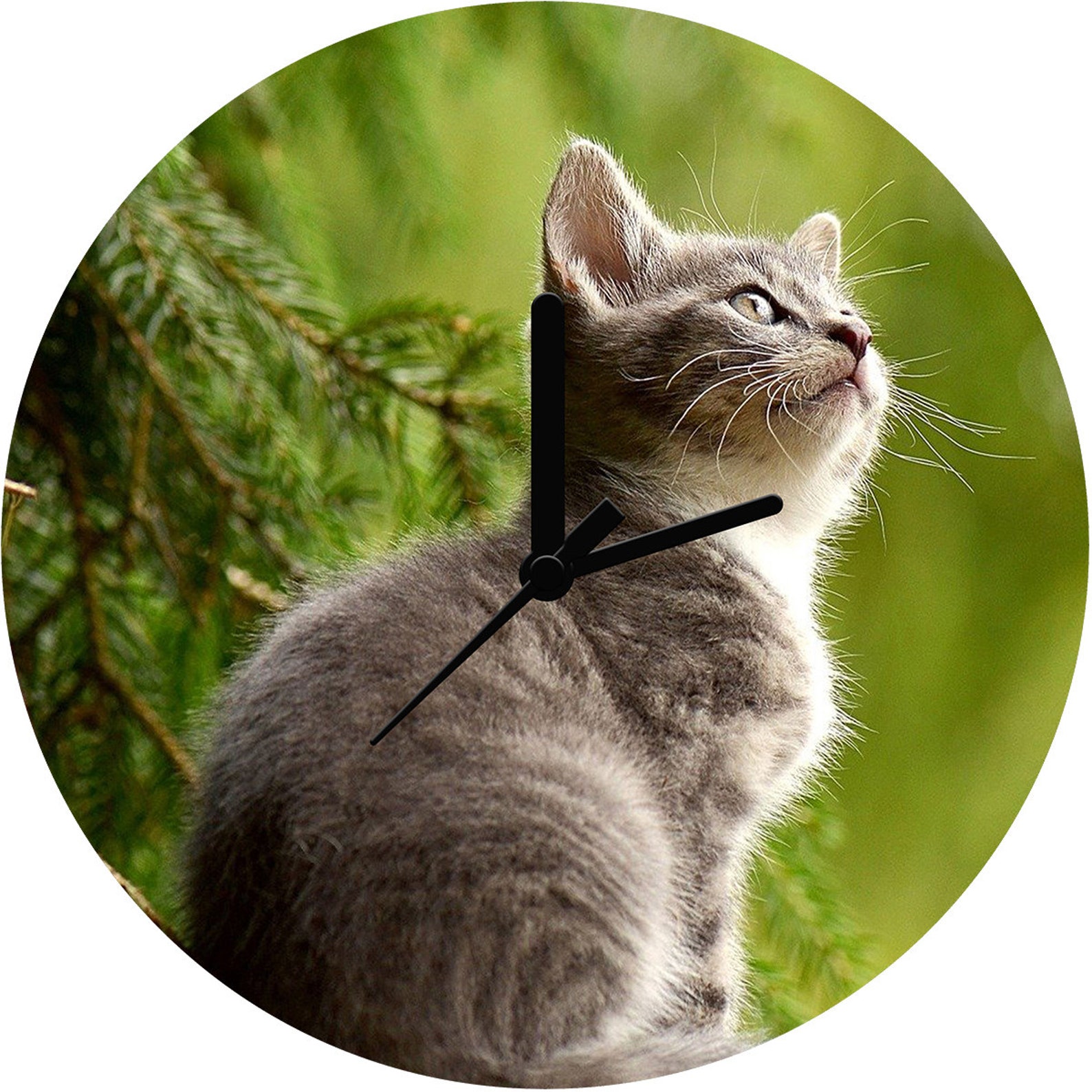 Cat Personalised Wall Clock No.5 Etsy