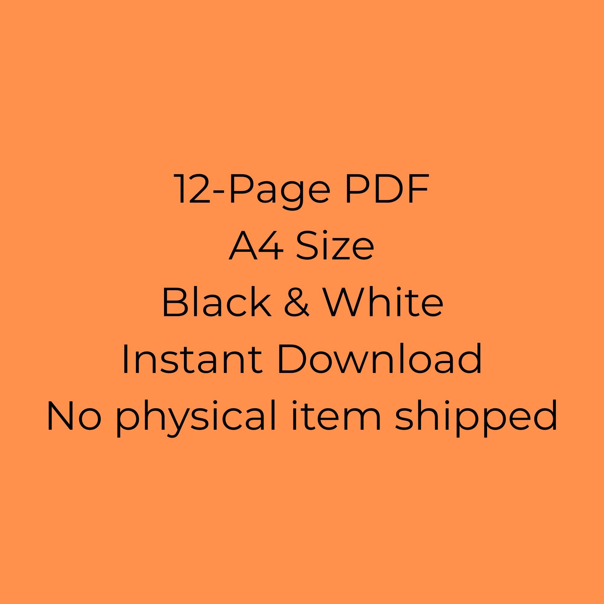 2026 Calendar Printable Bundle | Minimalist Black & White Monthly ...