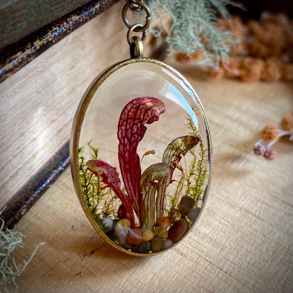 Real forest terrarium pendant. Botanical forest fairy garden necklace made from a real sarracenia pitcher plant and moss