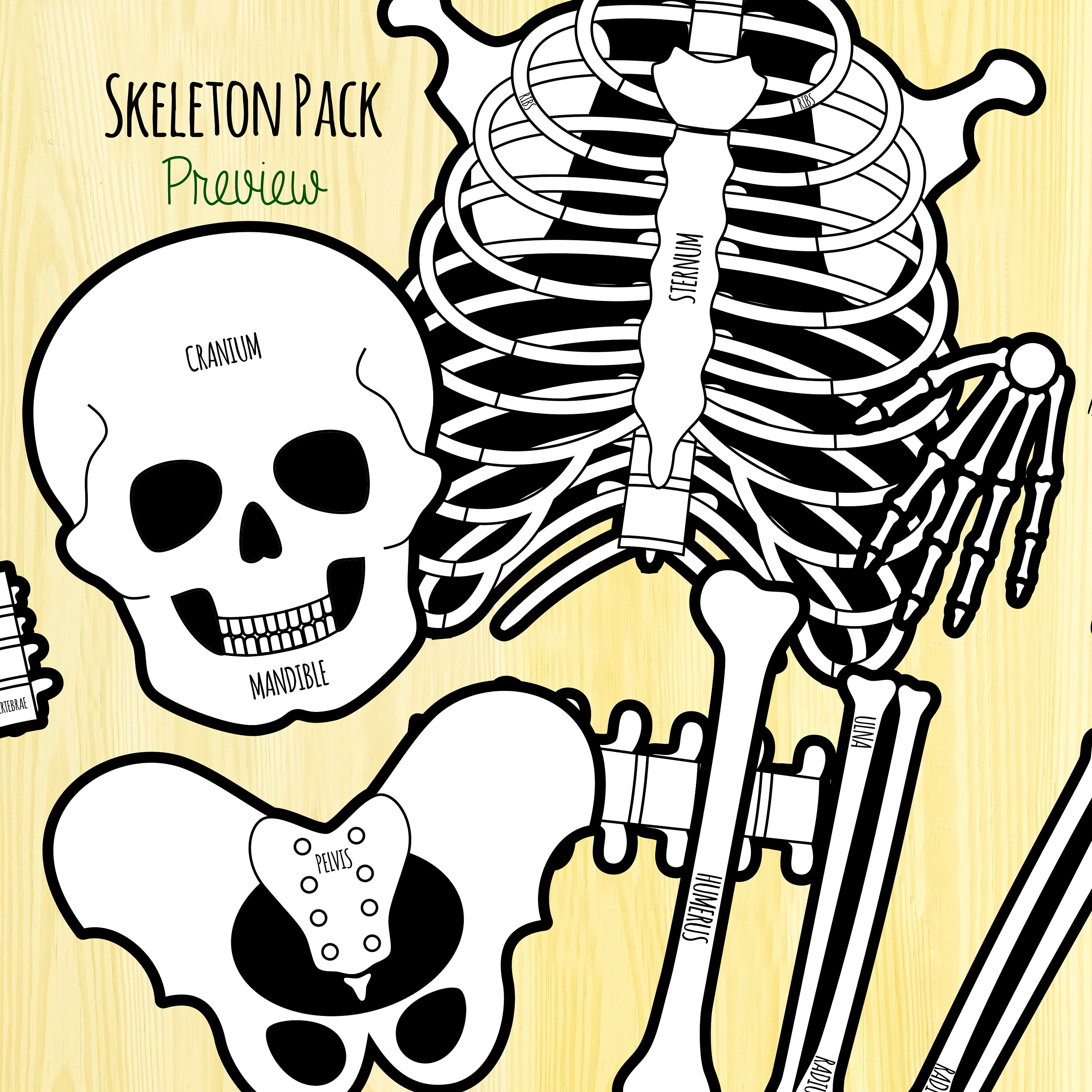 Skeleton Etsy