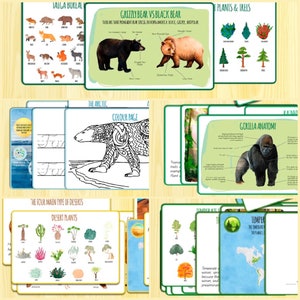 May include: A set of colourful educational flashcards featuring various animals, plants, and anatomy diagrams. The cards include images of a grizzly bear, black bear, polar bear, gorilla, desert plants, and different types of trees. The cards are designed for learning about different animal species, plant life, and anatomy.