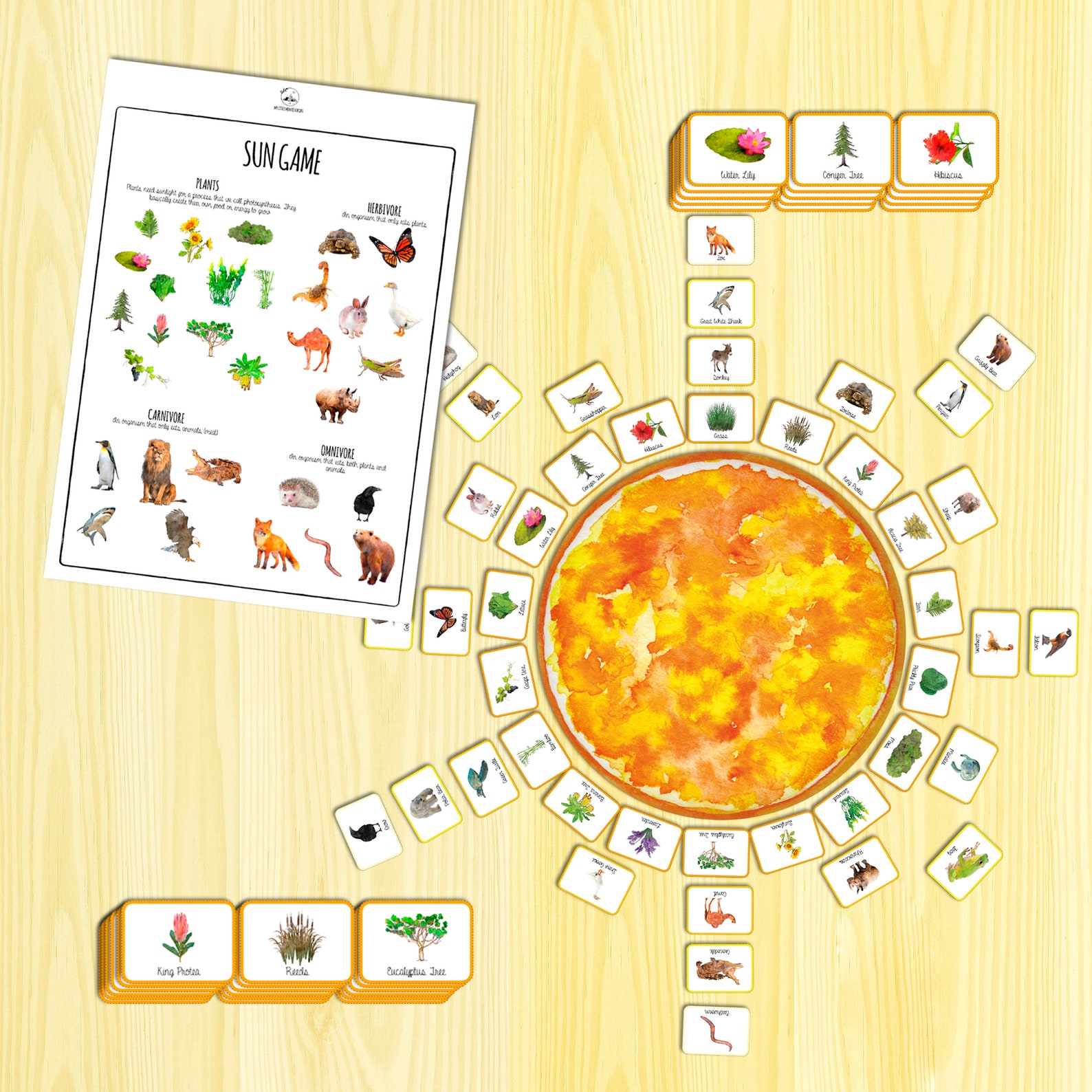 digital sun games download free digital sun games download free